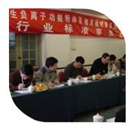 2006年3月10日，“產(chǎn)生負(fù)離子功能粉體及相關(guān)建材制品測(cè)試方法”行業(yè)標(biāo)準(zhǔn)審查會(huì)在北京召開。